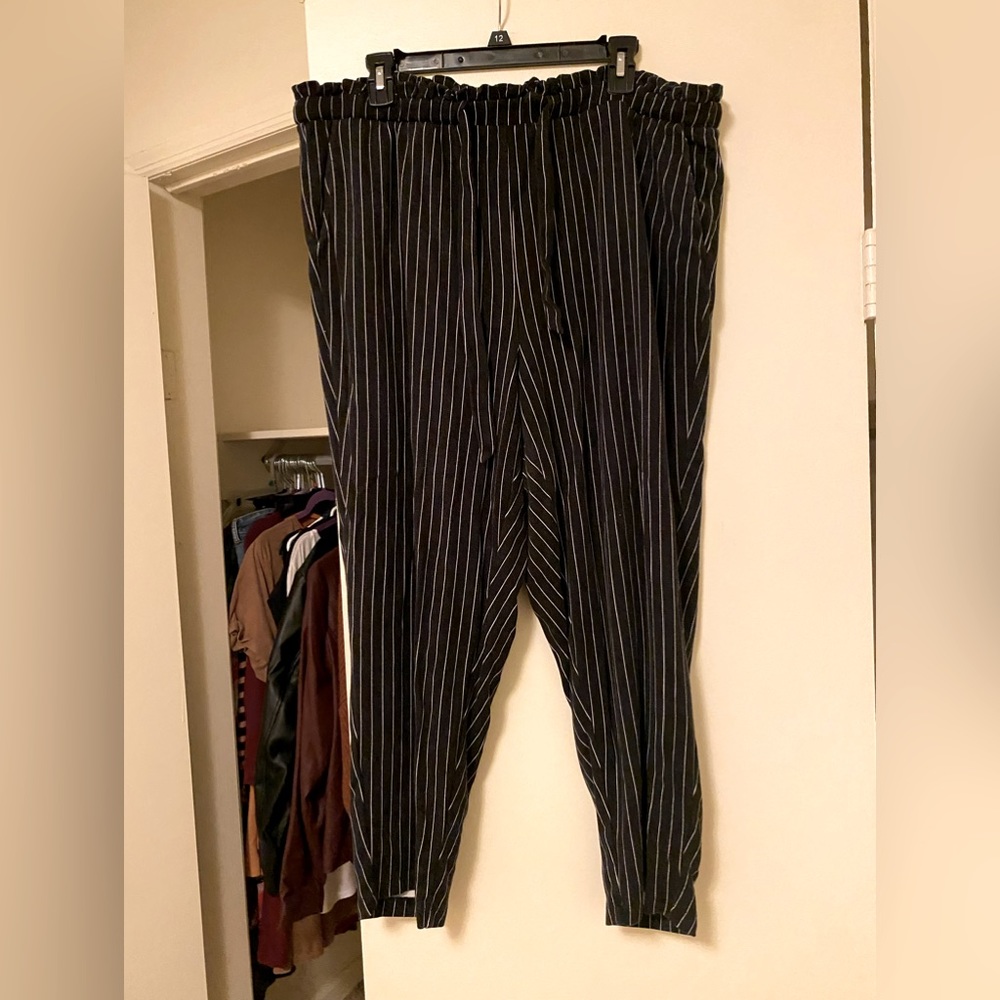 Torrid dress pants
